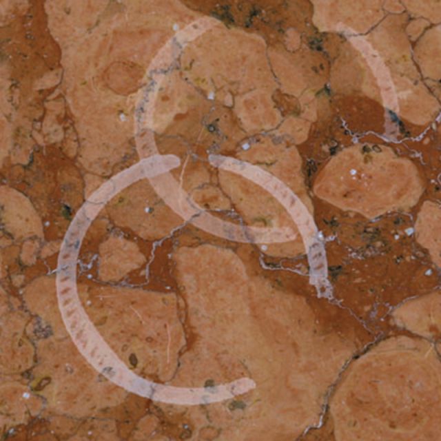 Fleckenentfernung Fliesen Schluter